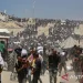 Empat Anggata DPR AS desak Trump segera akhiri perang Gaza. FOTO ANTARA